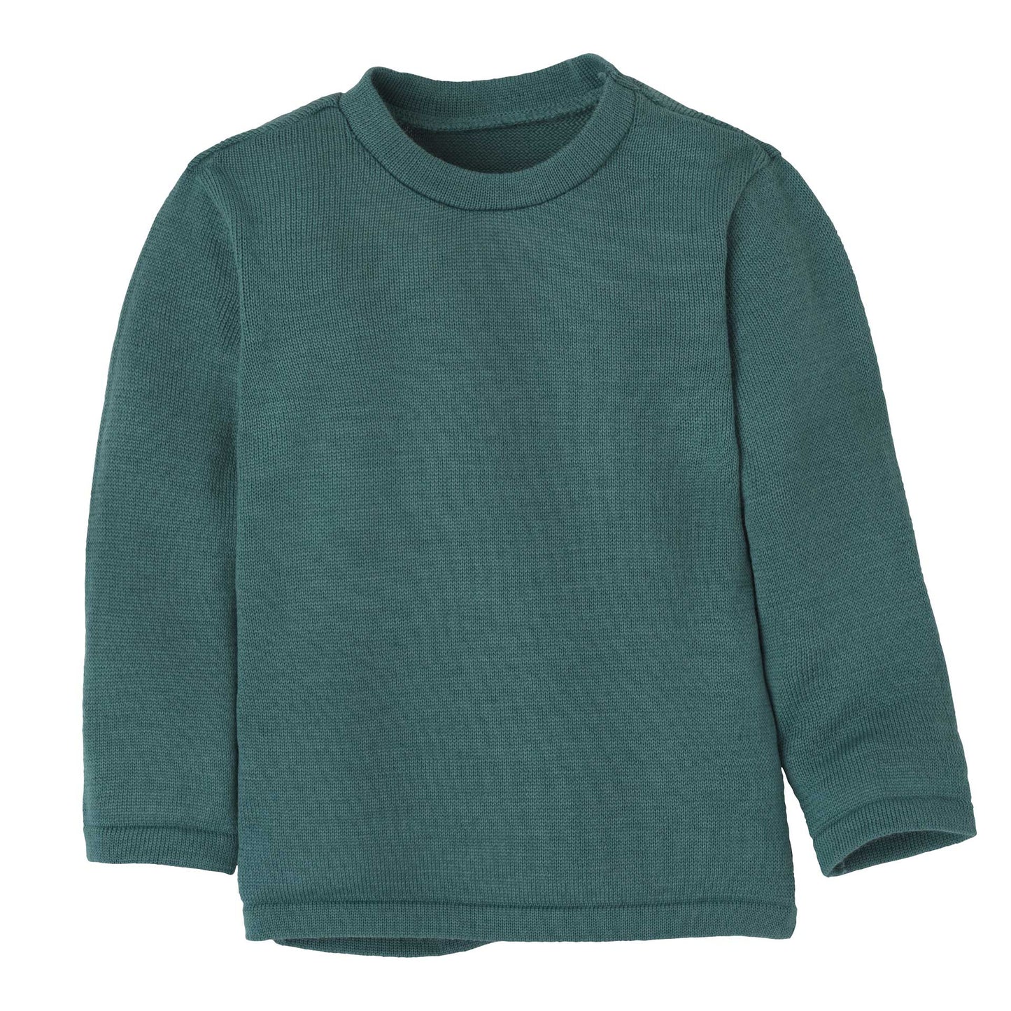 Disana Strick-Pullover "Eukalyptus"