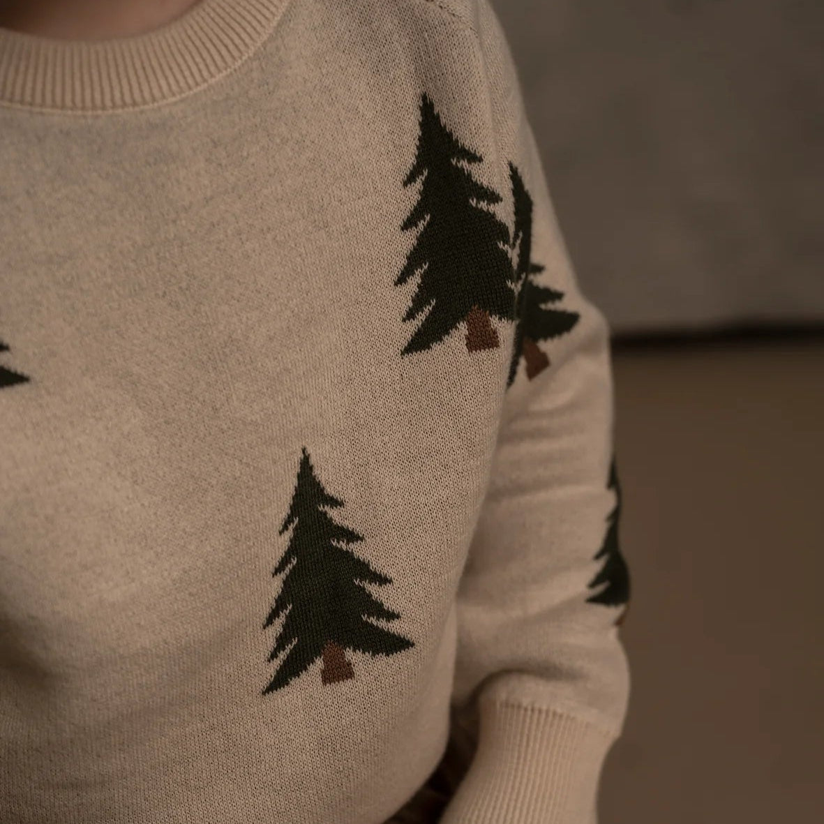 Hanevild Sweater - Christmas