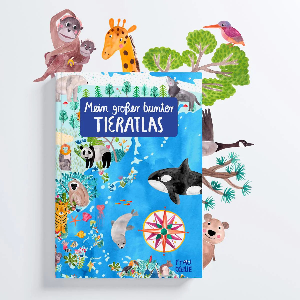 Frau Ottilie Buch „Mein großes bunter Tieratlas“