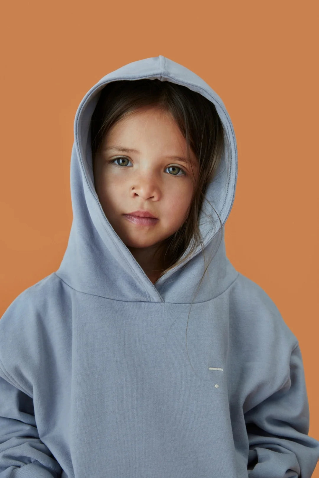 Gray Label Hoodie "Stone Grey"