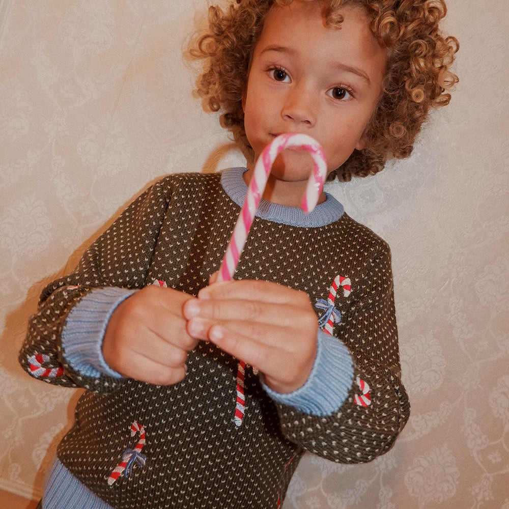 Flöss Sweater Jasper